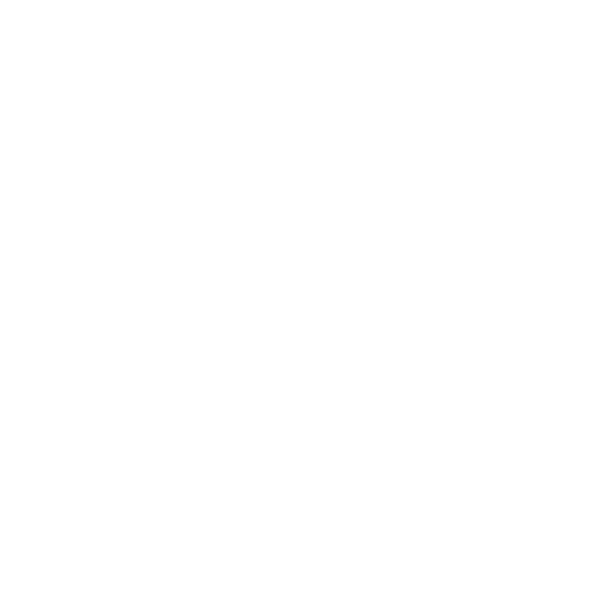 jet-circle-icon-white